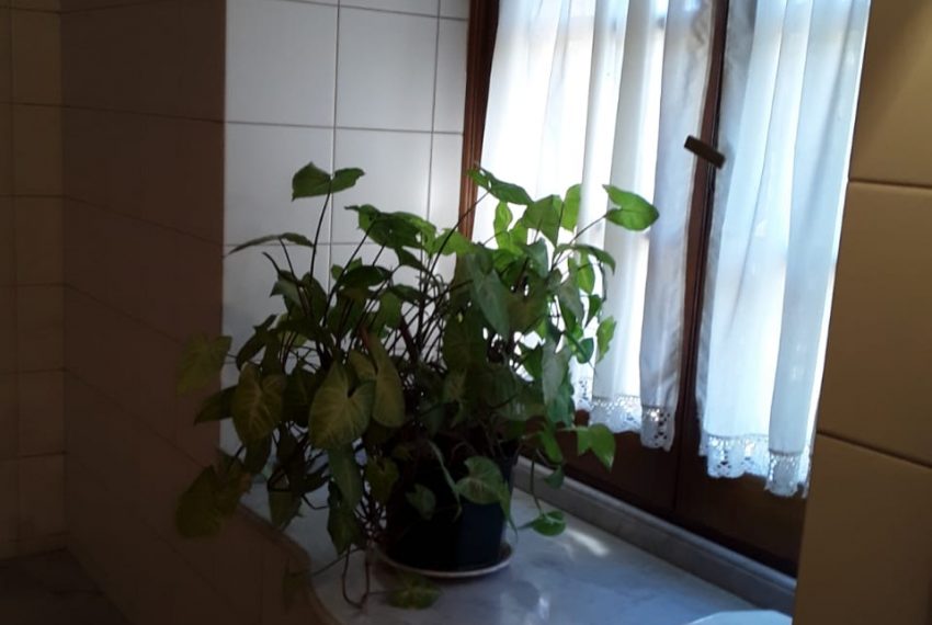 IMG-20190924-WA0019